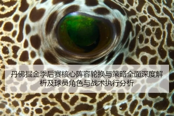 丹佛掘金季后赛核心阵容轮换与策略全面深度解析及球员角色与战术执行分析