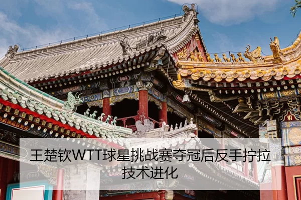 wang-chu-qin-qiu-xing-tiao-zhan-sai-duo-guan-hou-fan-shou-ning-la-ji-shu-jin-hua-2-823.jpg