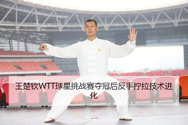 wang-chu-qin-qiu-xing-tiao-zhan-sai-duo-guan-hou-fan-shou-ning-la-ji-shu-jin-hua-3-728.jpg