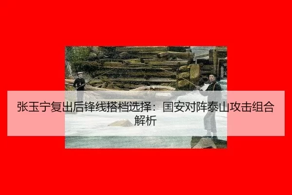 zhang-yu-ning-fu-chu-hou-feng-xian-da-dang-xuan-ze-guo-an-dui-zhen-tai-shan-gong-ji-zu-he-jie-xi-3-736.jpg
